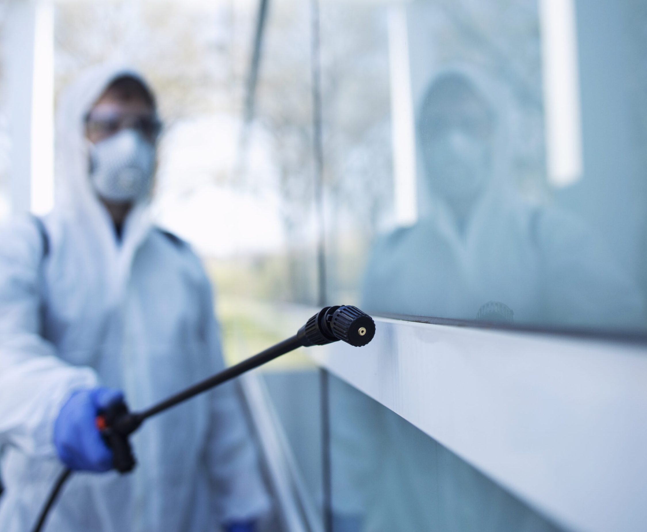 Best Pest Control Services Ajman